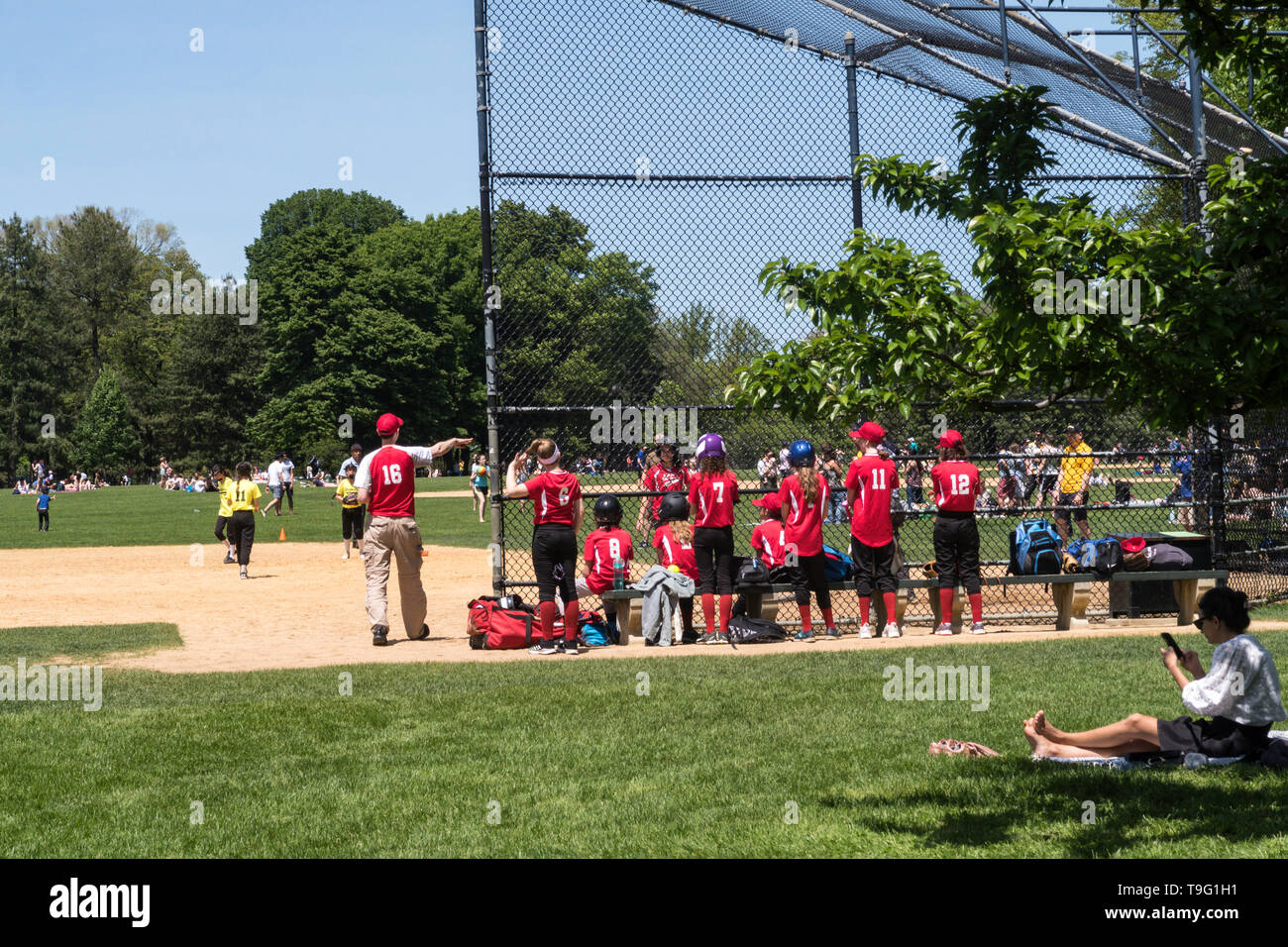 Girls Playing Softball in Central Park, NYC, USA Stock Photo