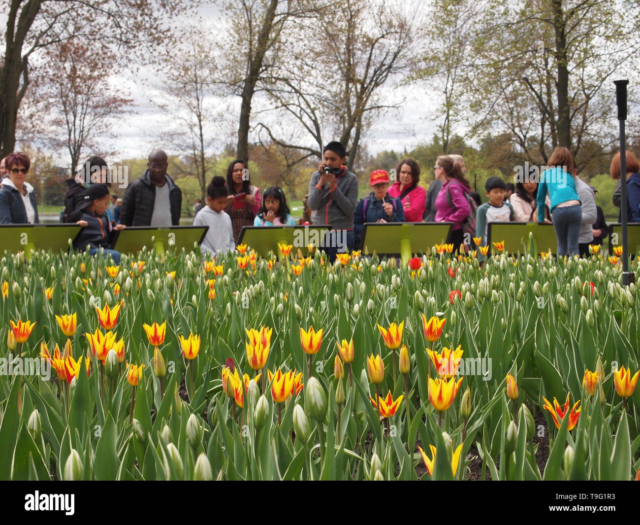 People taking photographs and reading about the history of the Ottawa ...