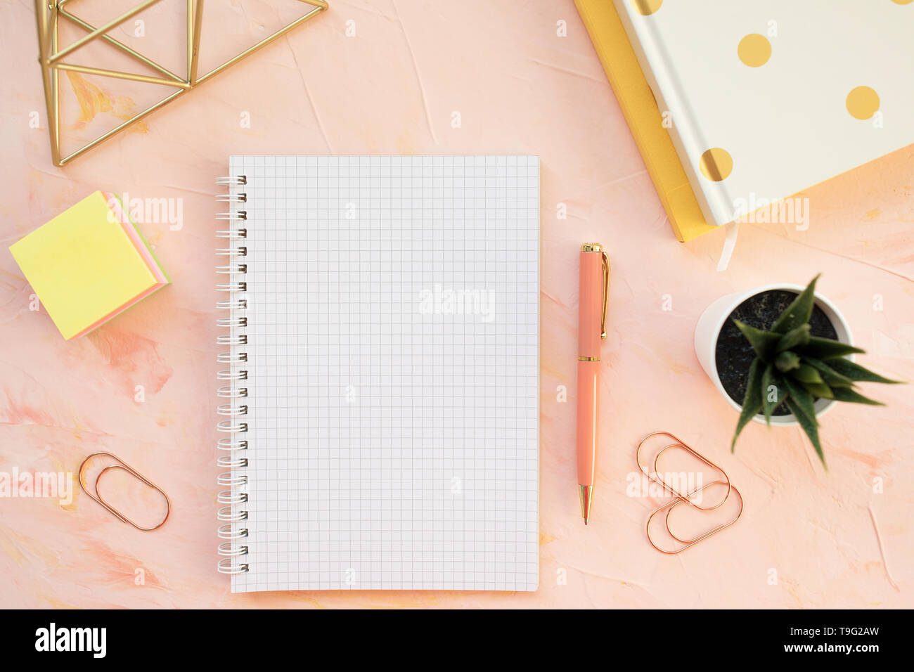 Squared Notebook Pen And Succulent Plant On A Student Desk