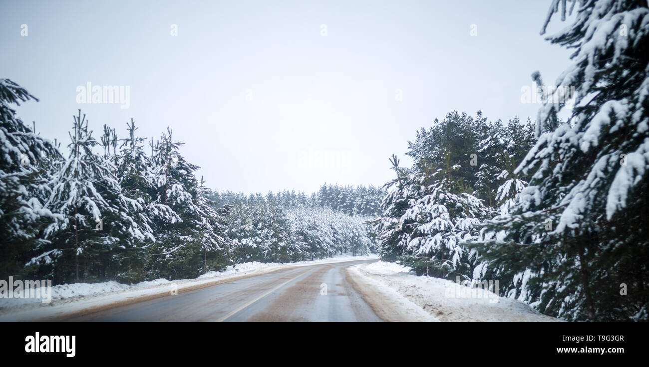 Photo of winter road with trees in snow Stock Photo - Alamy