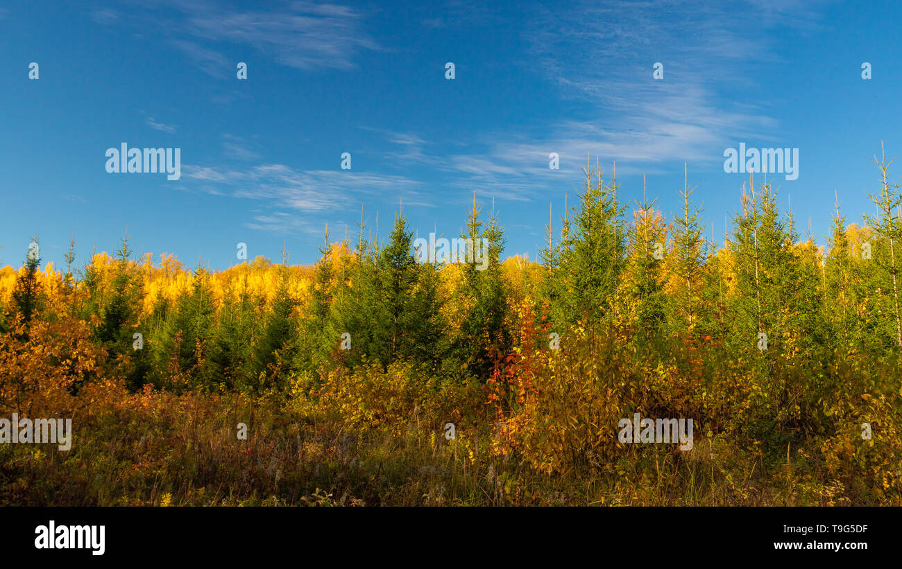 Weather hi res hi-res stock photography and images - Alamy