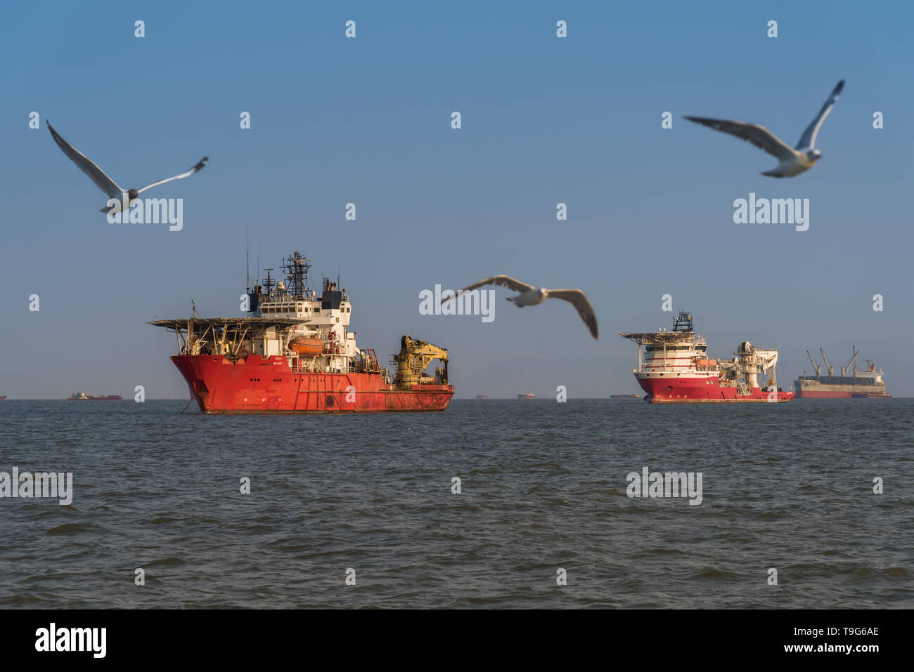 Offshore Support / Tug / Supply Vessels, Mumbai, India Stock Photo