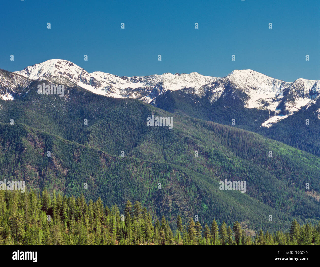 Mt 8077 hires stock photography and images Alamy