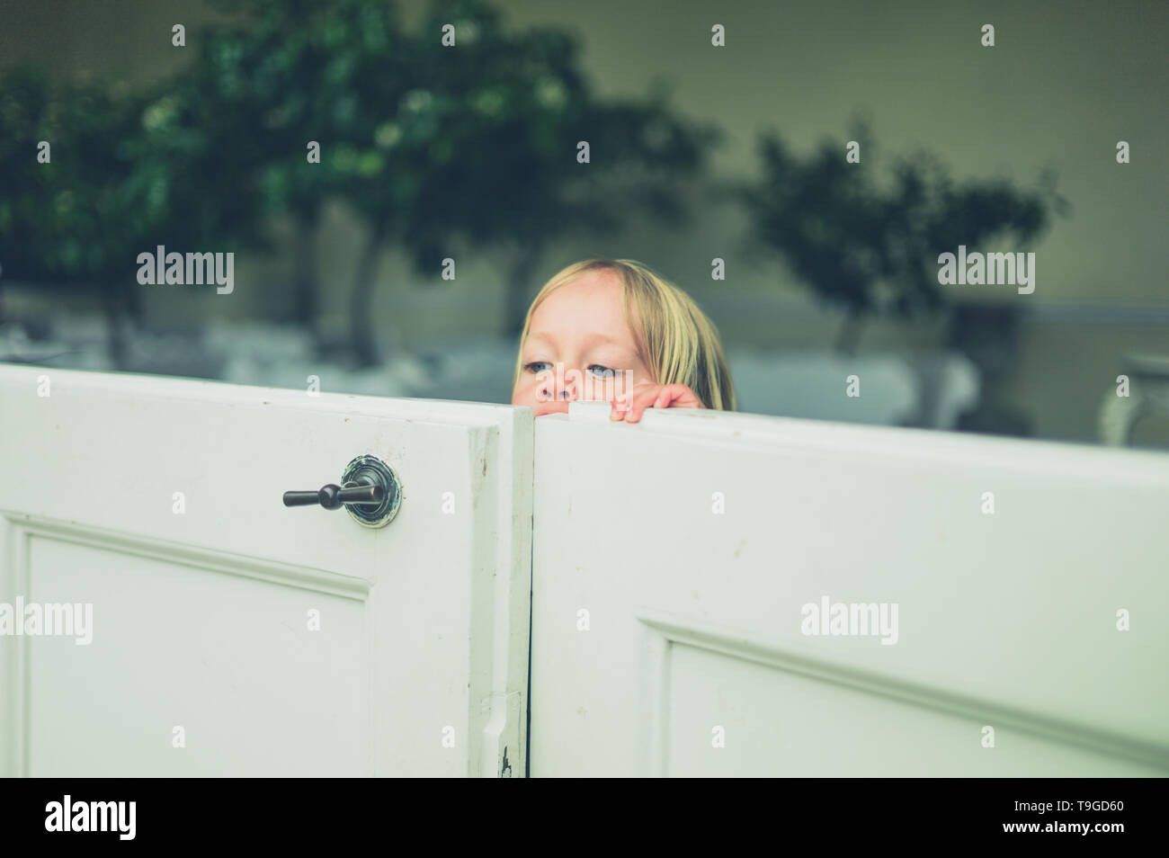 A little toddler is peaking over a gate from inside an orangery Stock Photo