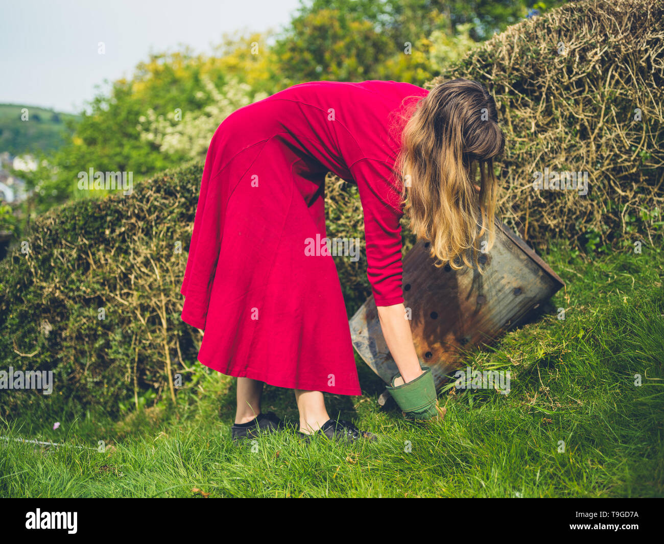A young woman wearing an elegant dress is pulling weeds and putting them in an incinerator Stock Photo