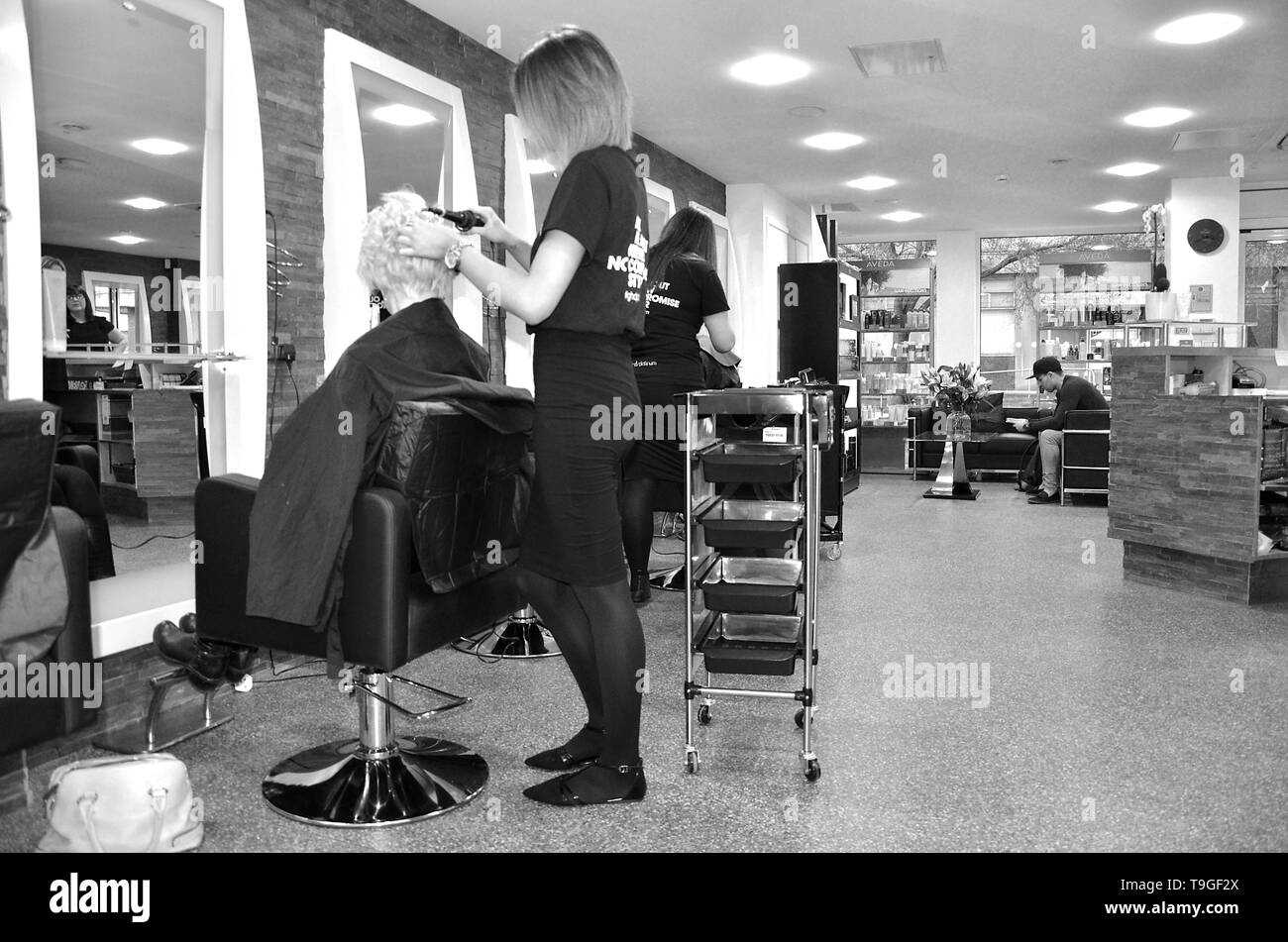 Hair salon Black and White Stock Photos & Images Alamy