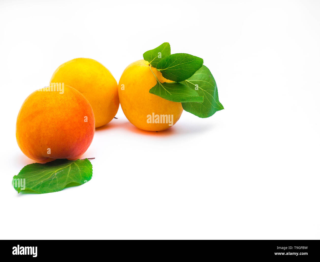 apricots with leaf isolated on white background Stock Photo - Alamy