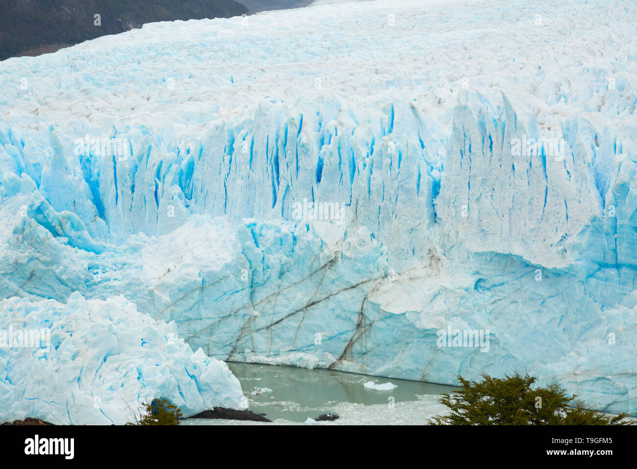 Vertical Edge Of Glacier Perito Moreno Glaciar Perito Moreno Southeast Of Argentina Province Santa Cruz Stock Photo Alamy