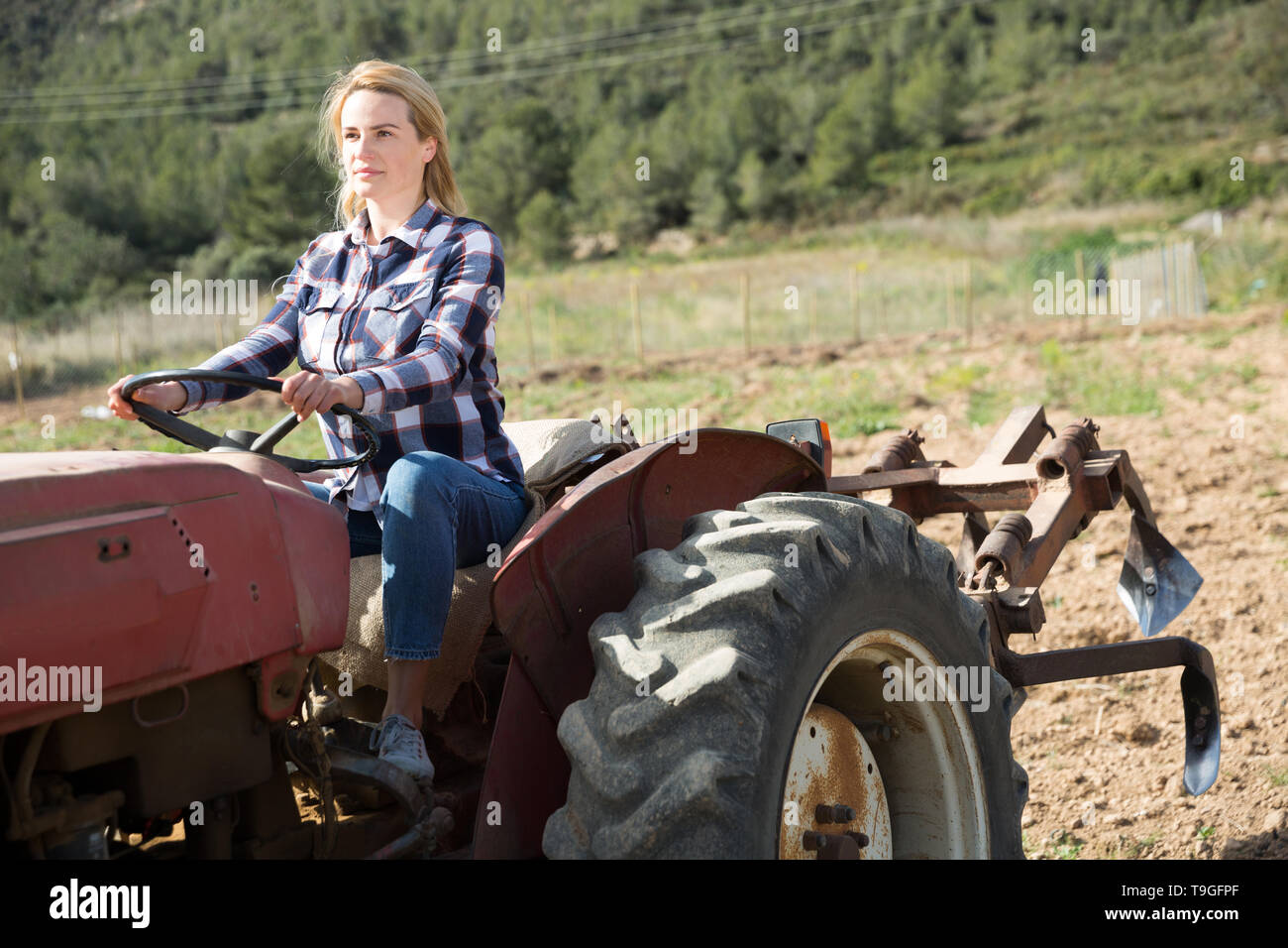 Skilled Young Woman Driving Small Farm Tractor Tilling Soil On