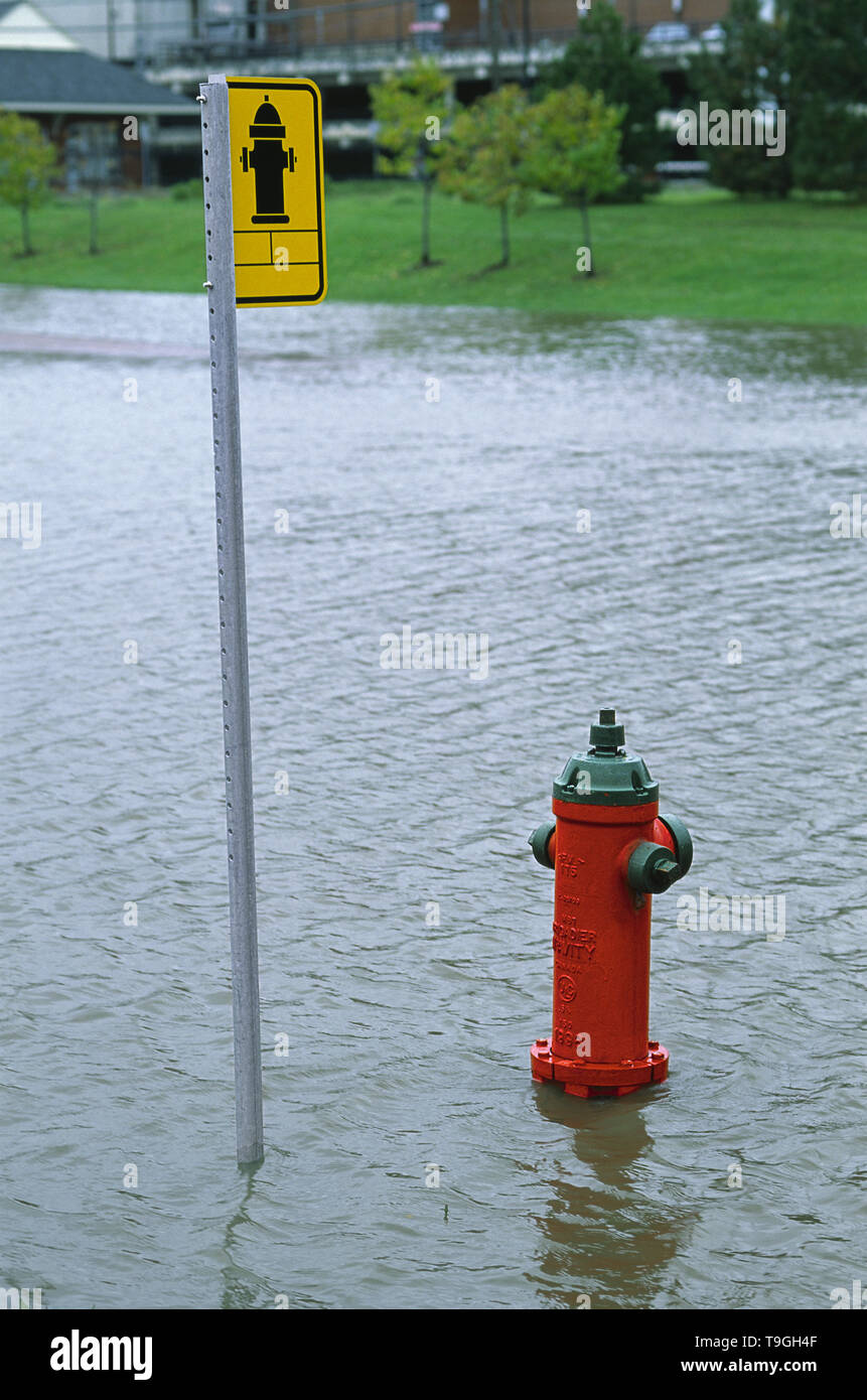 Fire Hydrant partially covered with water in flooded area , Sherbrooke