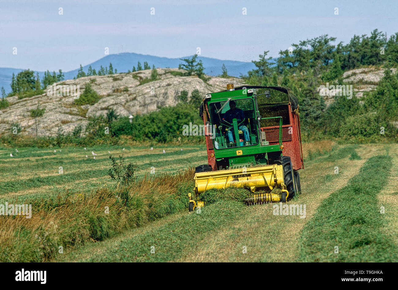 Hayfield hires stock photography and images Alamy