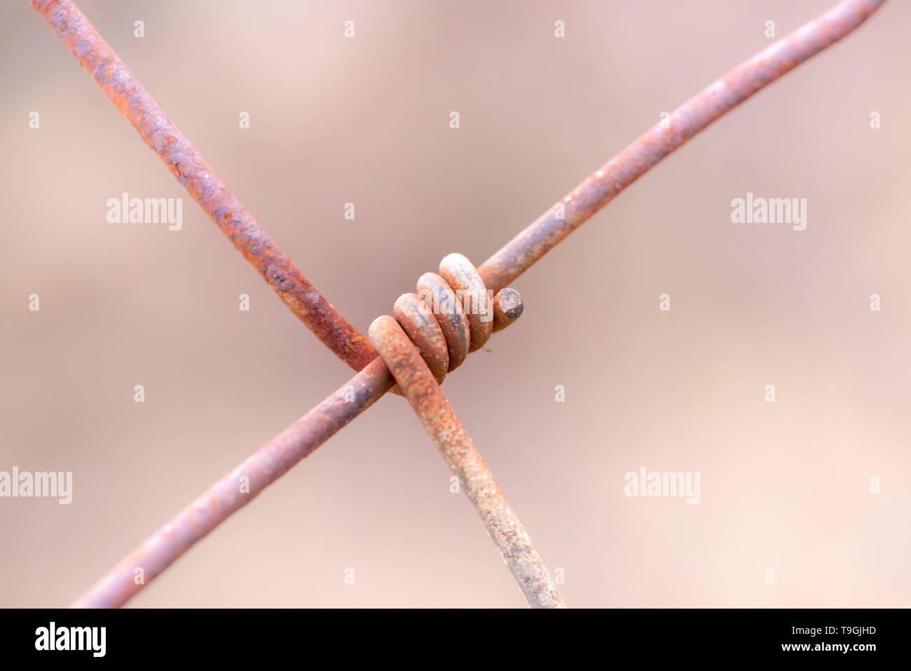 Rusty wire Stock Photo Alamy
