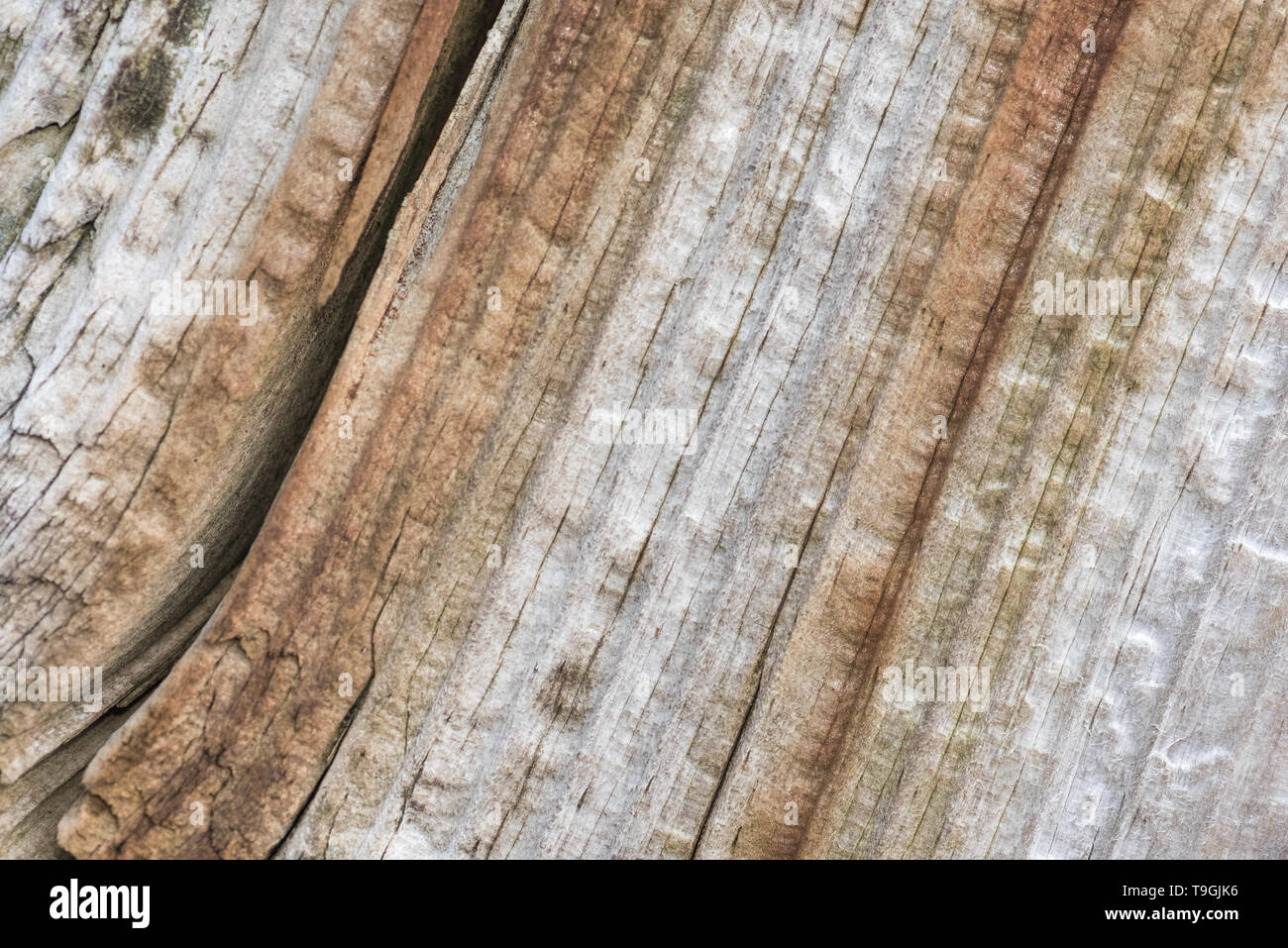 Colourful stained wood Stock Photo