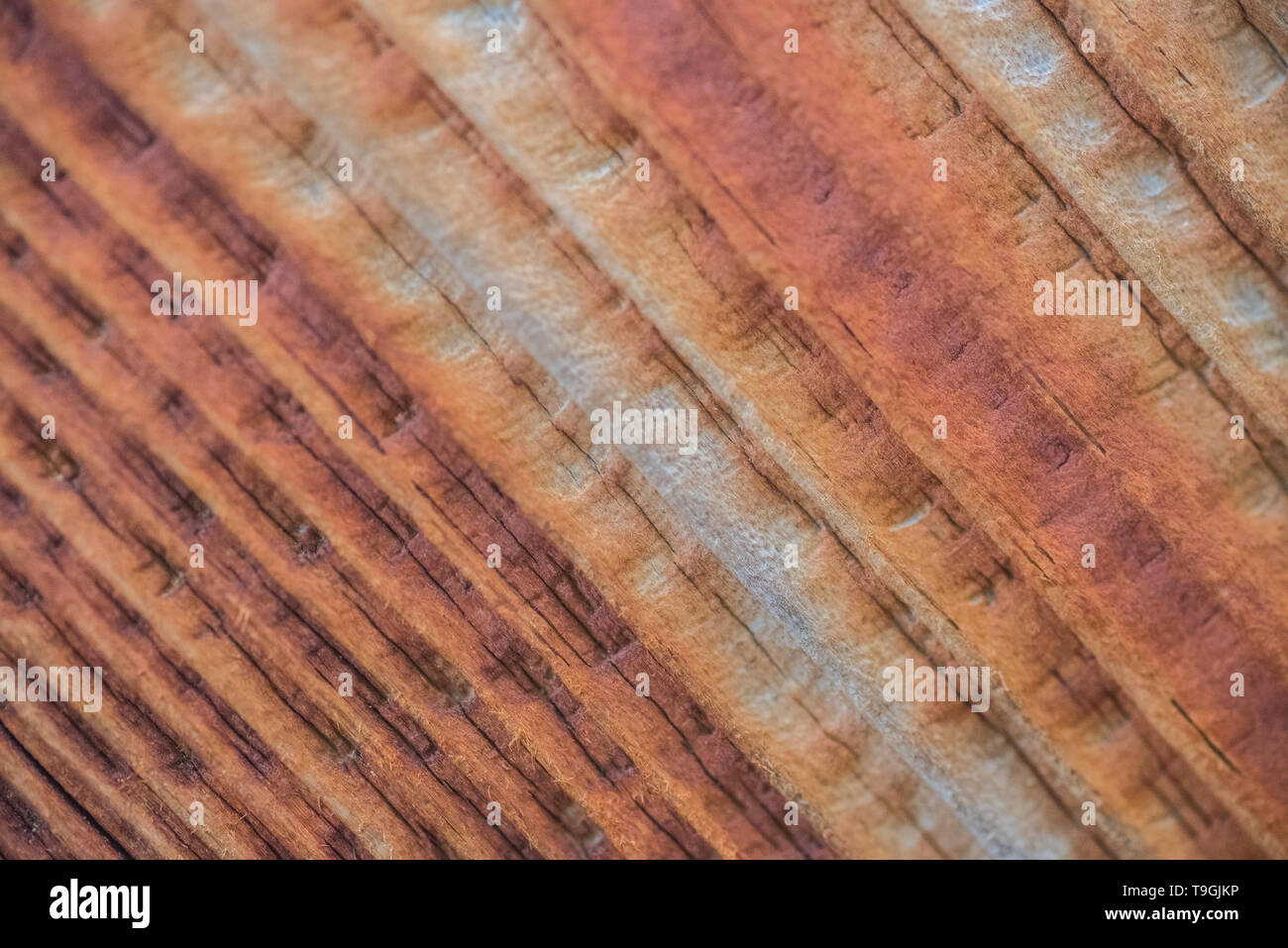 Colourful stained wood Stock Photo