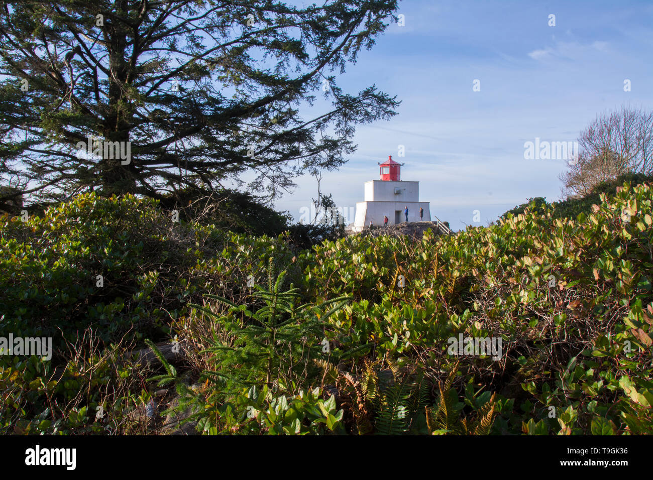 Amphitrite Point Lighthouse is an active lighthouse near Uclulelet on the west coast of Vancouver Island in British Columbia, Canada Stock Photo
