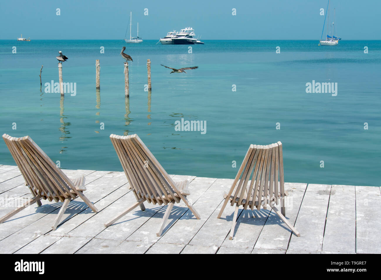 Deck Chairs On Dock Caye Caulker Belize Stock Photo Alamy