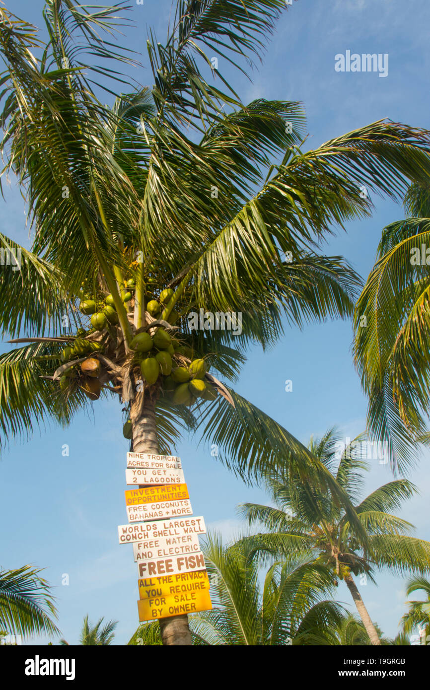 Tropical property for sale, Caye Caulker, Belize Stock Photo Alamy
