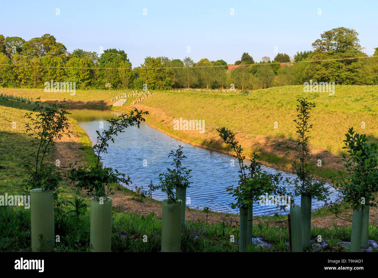 Bat Willow Hurst, Country Park, Stortford, Herts, England, UK
