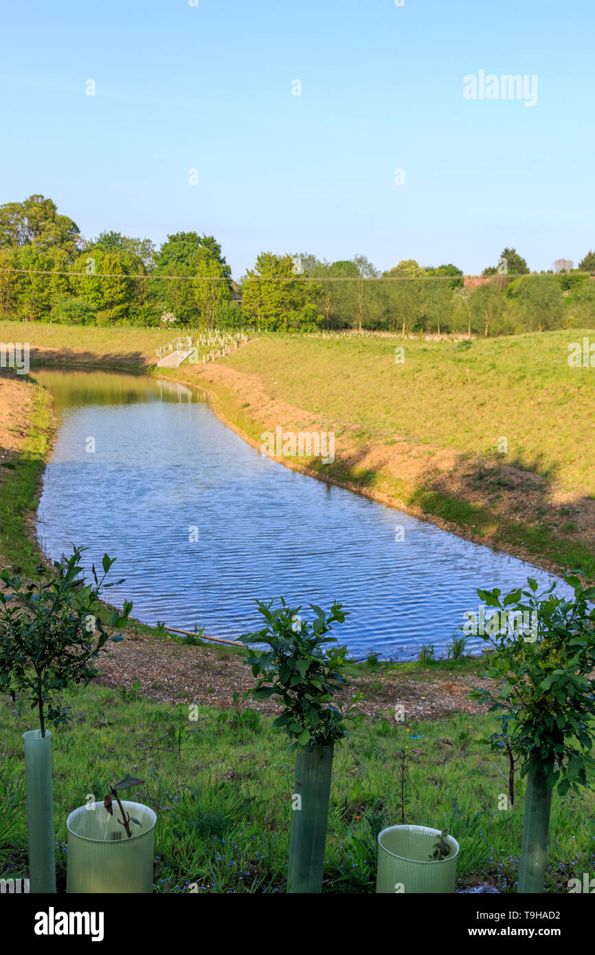 Bat Willow Hurst, Country Park, Stortford, Herts, England, UK