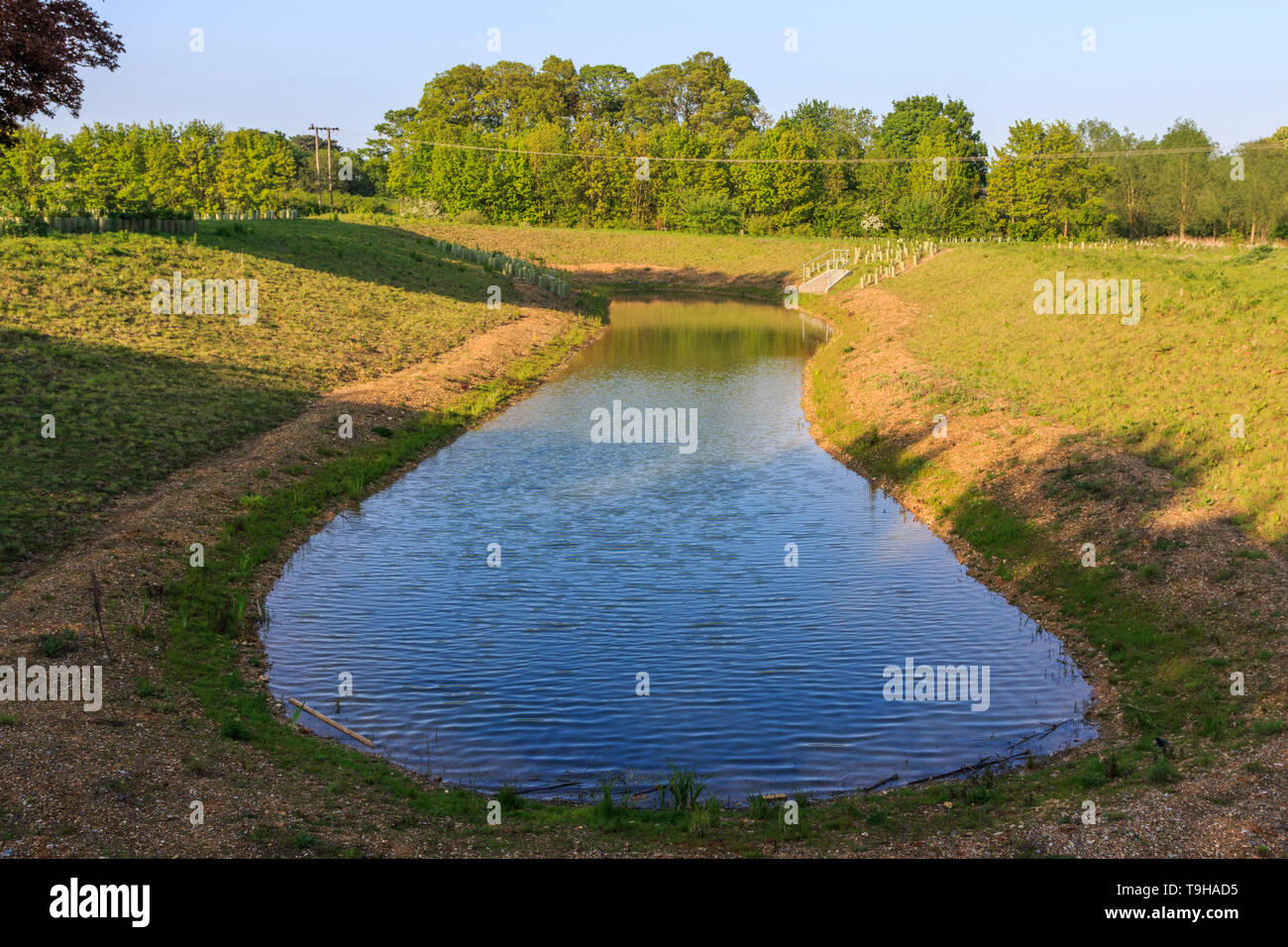 Bat Willow Hurst, Country Park, Stortford, Herts, England, UK