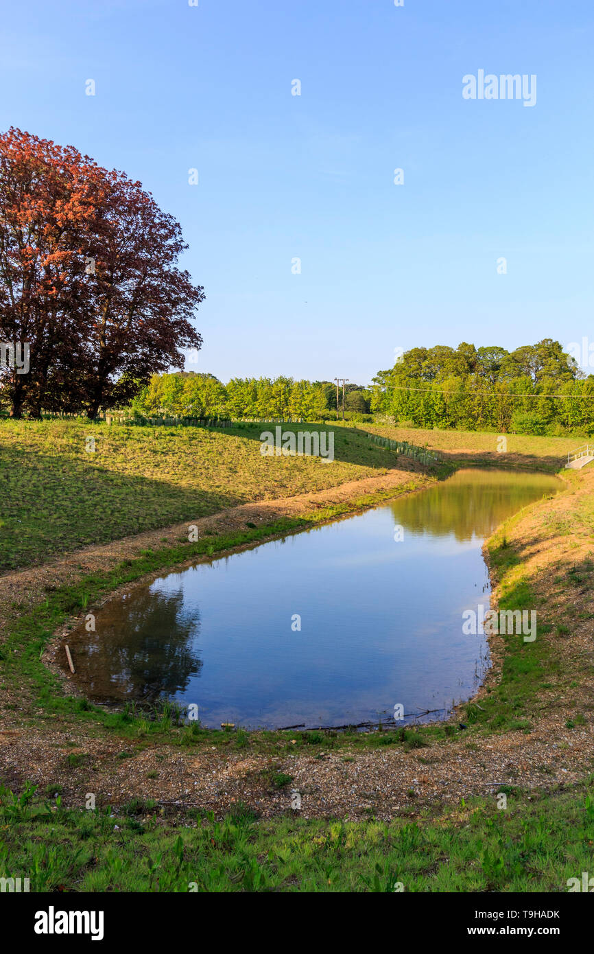 Bat Willow Hurst man made lake, Country Park, Stortford, Herts