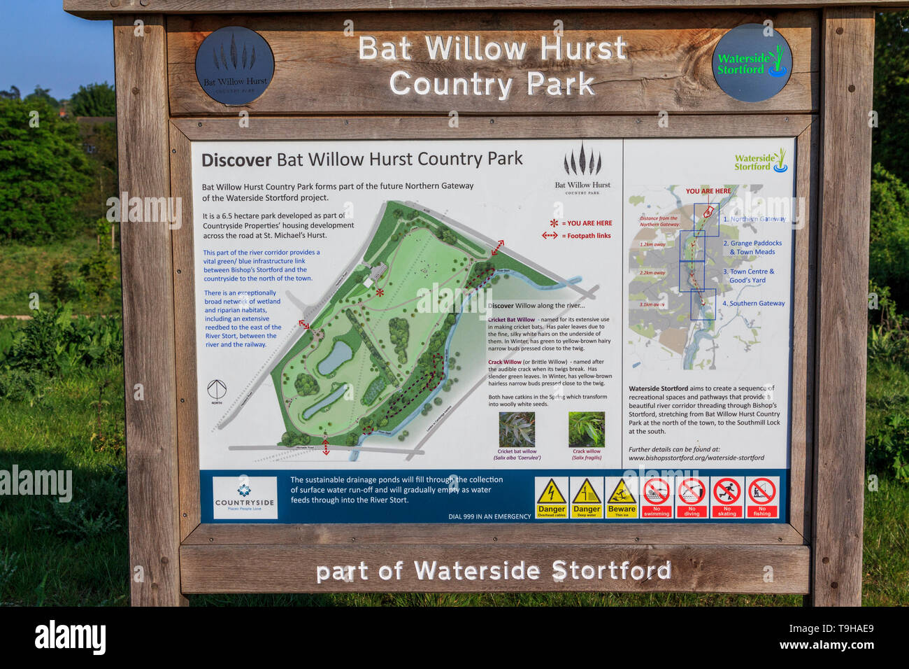 Bat Willow Hurst, Country Park, Stortford, Herts, England, UK
