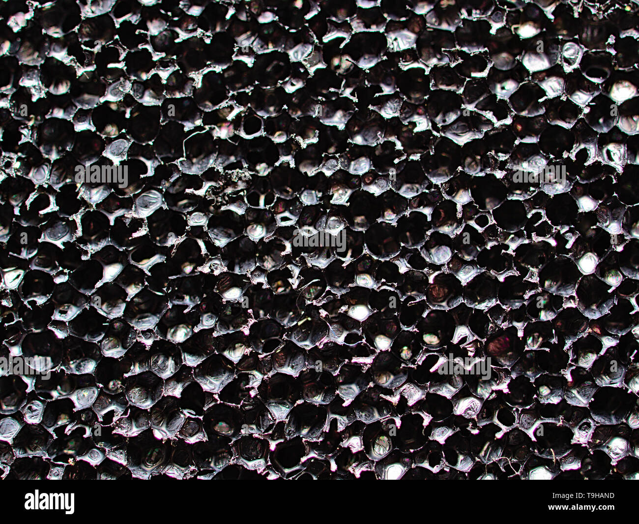 Close up macro image of cell like textured surface. Stock Photo