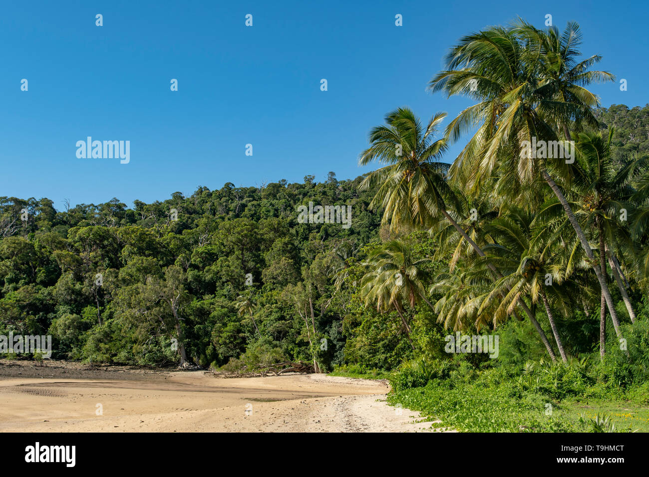 dunk beach baroque sail