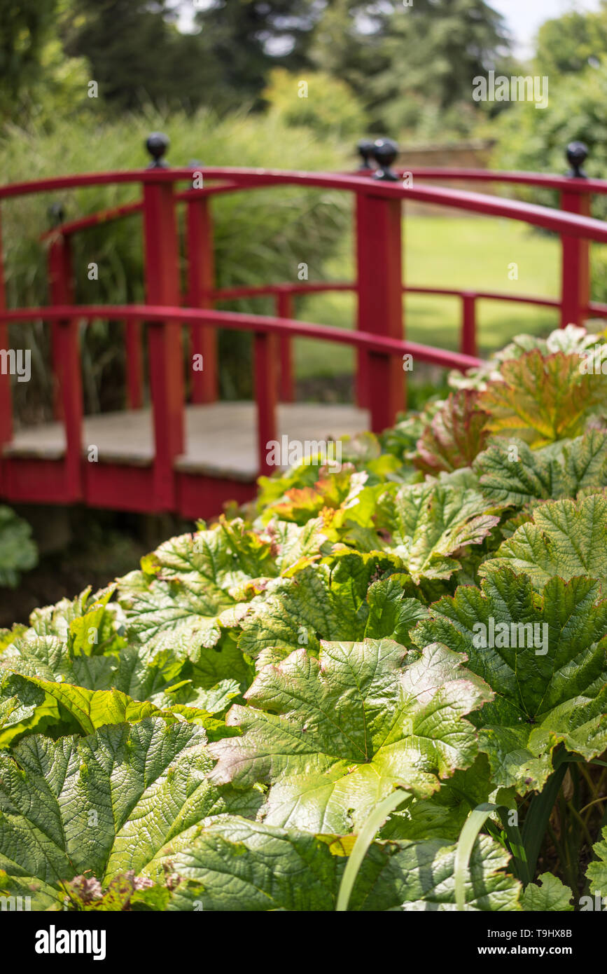 Red Japanese bridge over pond in Japanese inspired garden at Wilton House near Salisbury with out of focus background Stock Photo