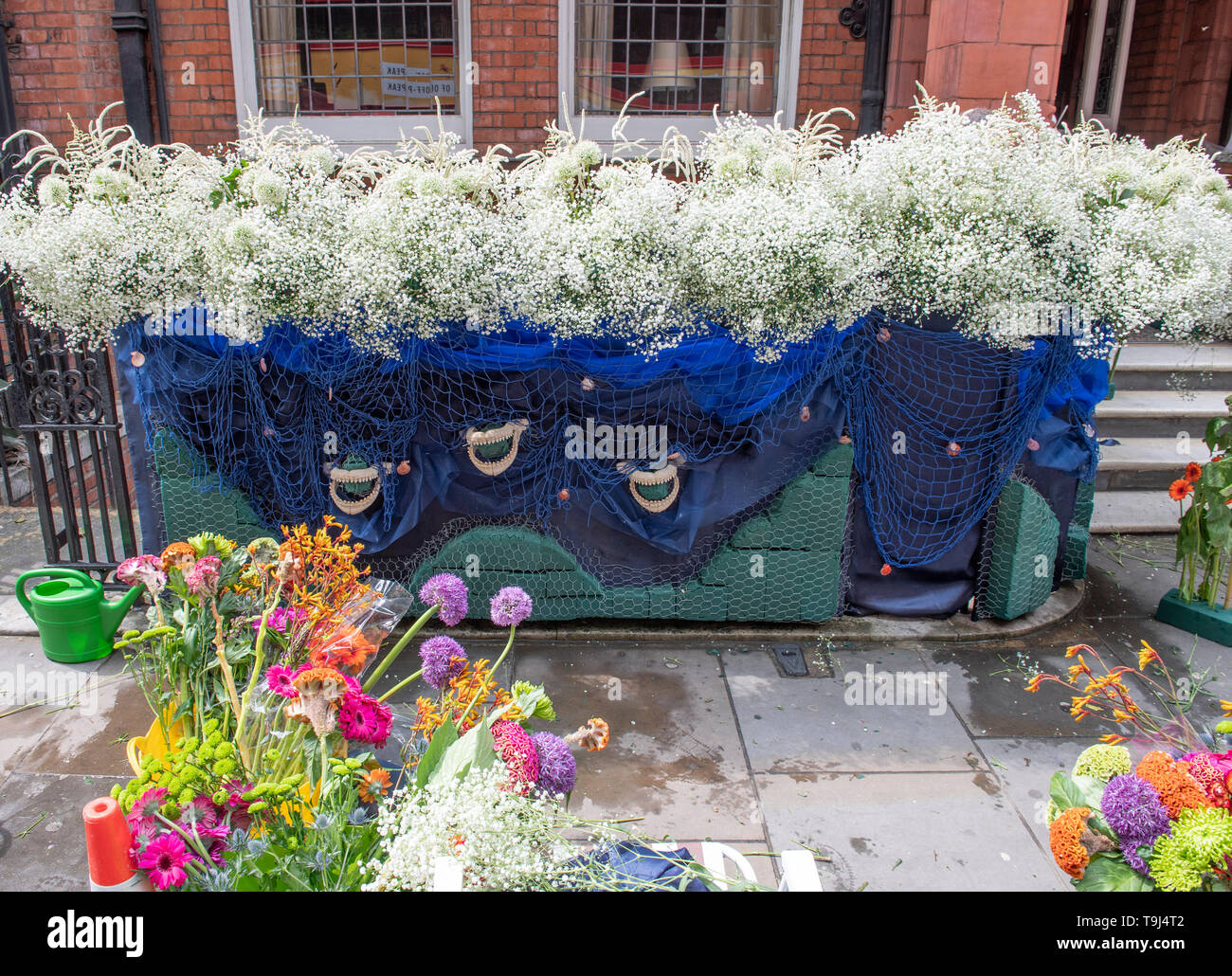 Royal Hospital Chelsea, London, UK. 19th May 2019. Chelsea Flower Show 2019 readies itself for judges before the public opening on 21st May with finishing touches to plant displays and gardens around the showground for Chelsea in Bloom. Image: Shops, residents and businesses in Chelsea decorate properties for the Flower Show week. The No 8 Dental Practice display being created. Credit: Malcolm Park/Alamy Live News. Stock Photo