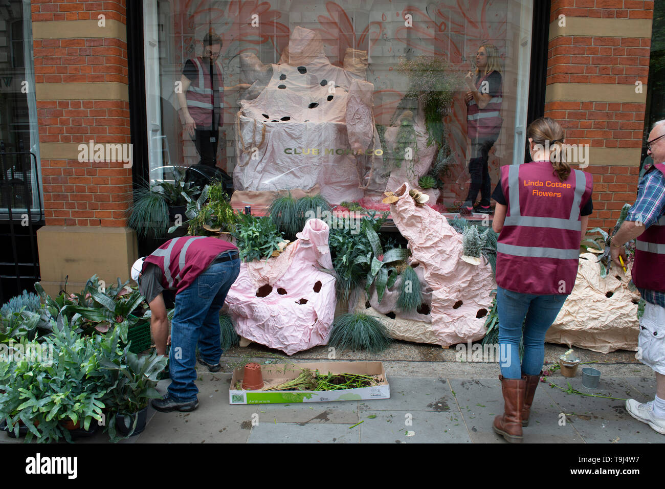 Royal Hospital Chelsea, London, UK. 19th May 2019. Chelsea Flower Show 2019 readies itself for judges before the public opening on 21st May with finishing touches to plant displays and gardens around the showground for Chelsea in Bloom. Image: Shops, residents and businesses in Chelsea decorate properties for the Flower Show  week. Credit: Malcolm Park/Alamy Live News. Stock Photo