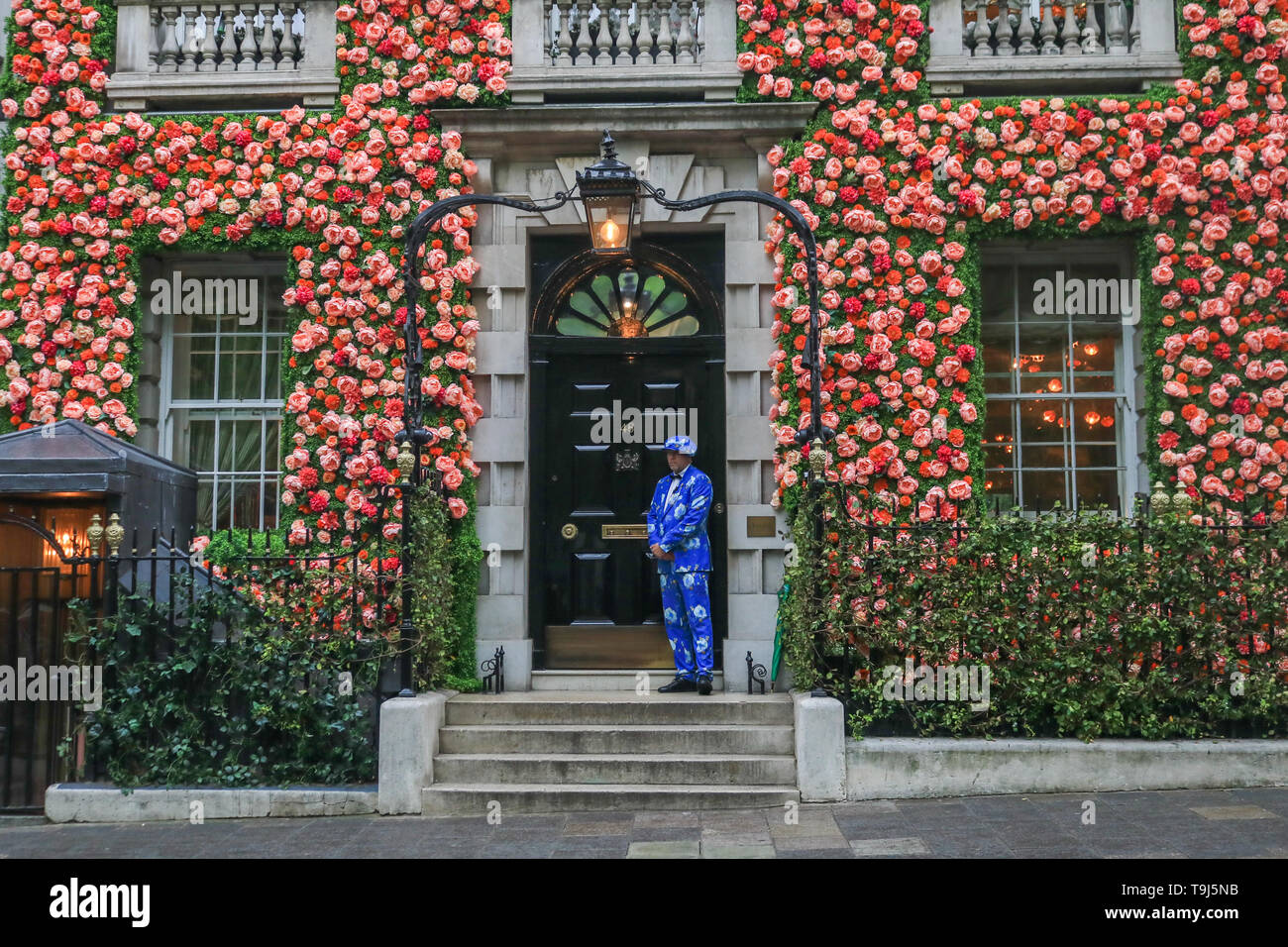 London, UK. 19th May 2019. A doorman in a colourful suit  stands in front of Annabel's private club in London  Mayfair whose facade  is decorated with flowers to mark the Chelsea Flower Show Credit: amer ghazzal/Alamy Live News Stock Photo