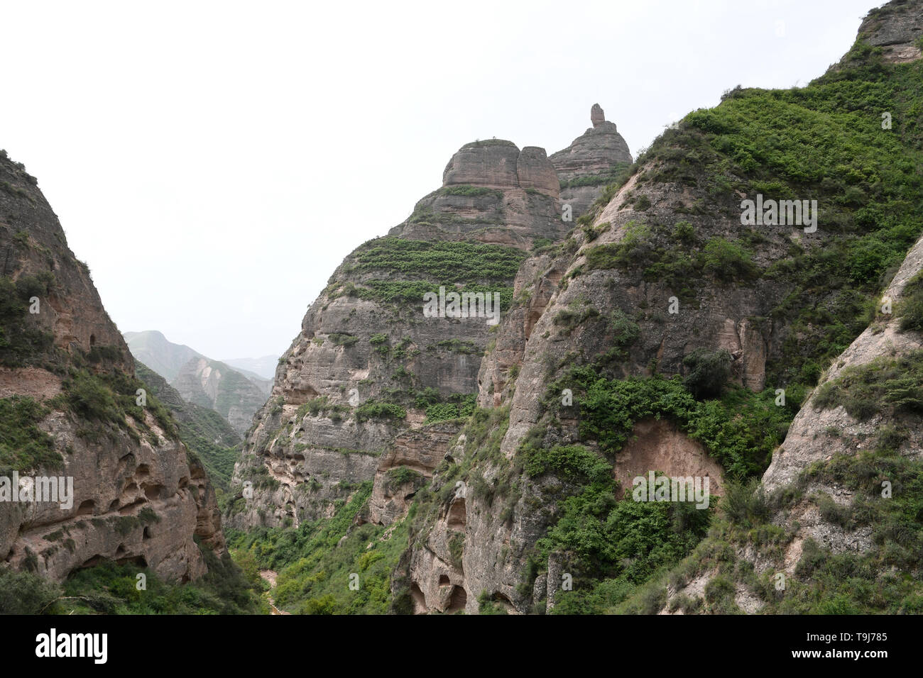 Yongjing. 19th May, 2019. Photo taken on May 19, 2019 shows a stone forest at Bingling Danxia National Geological Park in Yongjing County, northwest China's Gansu Province. Danxia landform is a unique type of landscapes formed from red sandstone and characterized by steep cliffs. Credit: Fan Peishen/Xinhua/Alamy Live News Stock Photo