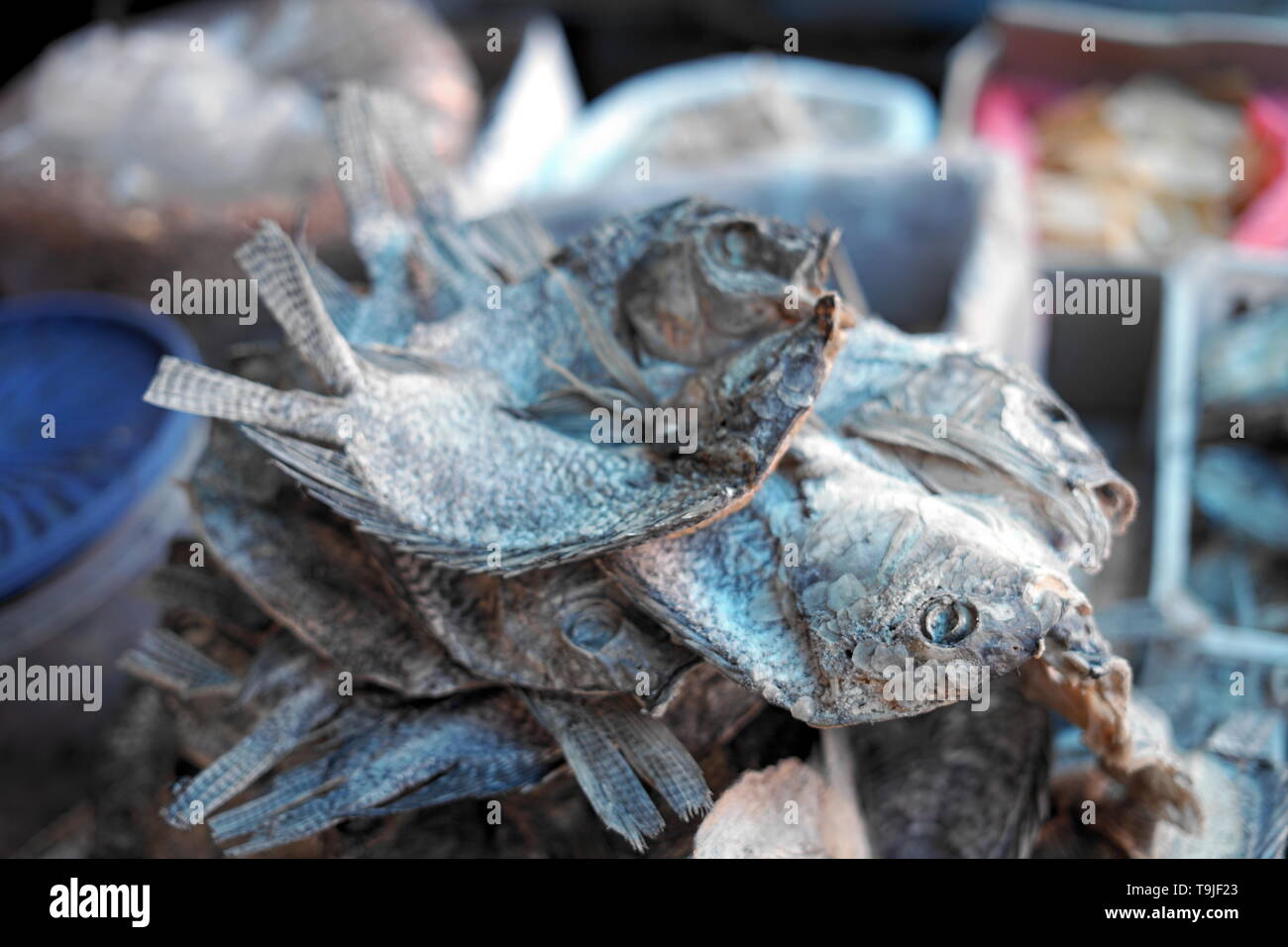 Pile of Dried salty fish for sale at Traditional fish market Stock