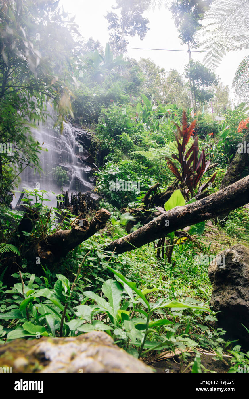 Detail of the Gitgit waterfall at Bali, Indonesia Stock Photo - Alamy