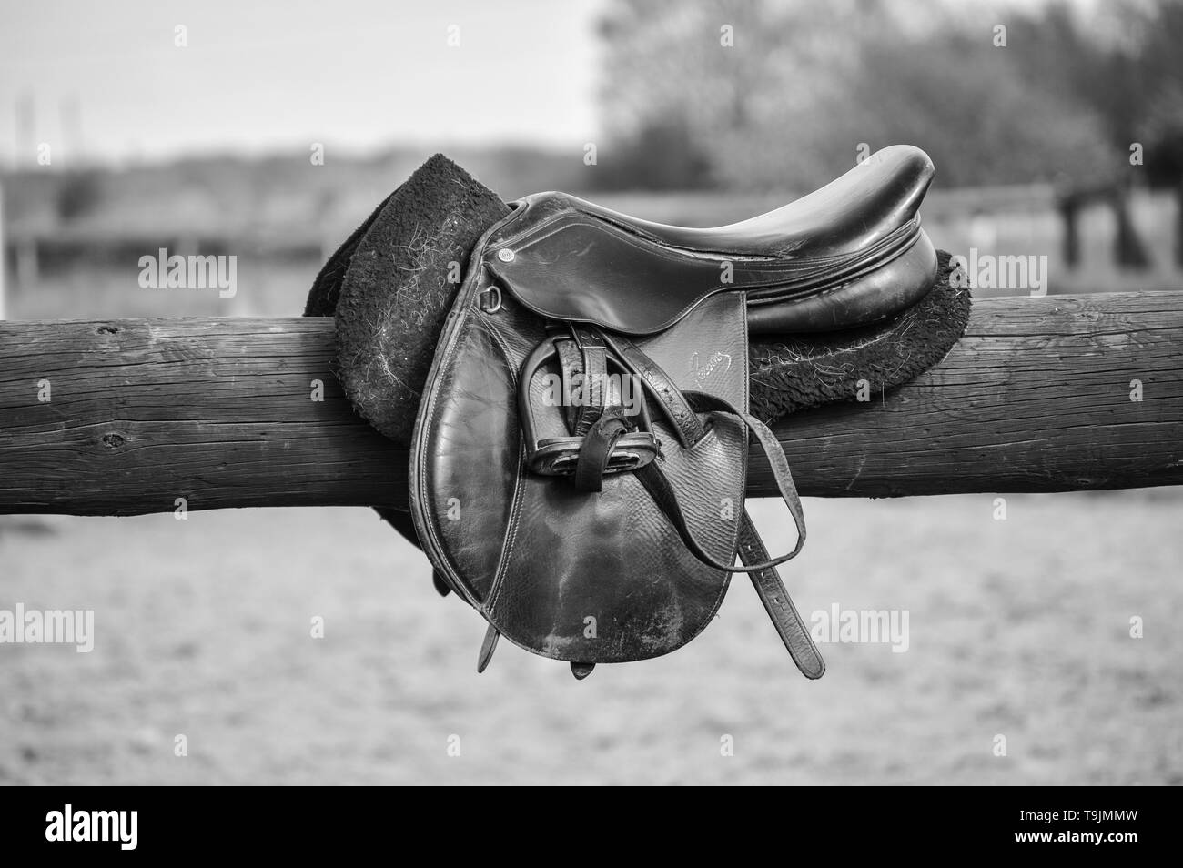 Horse saddle on wooden round beam, black and white photography Stock Photo