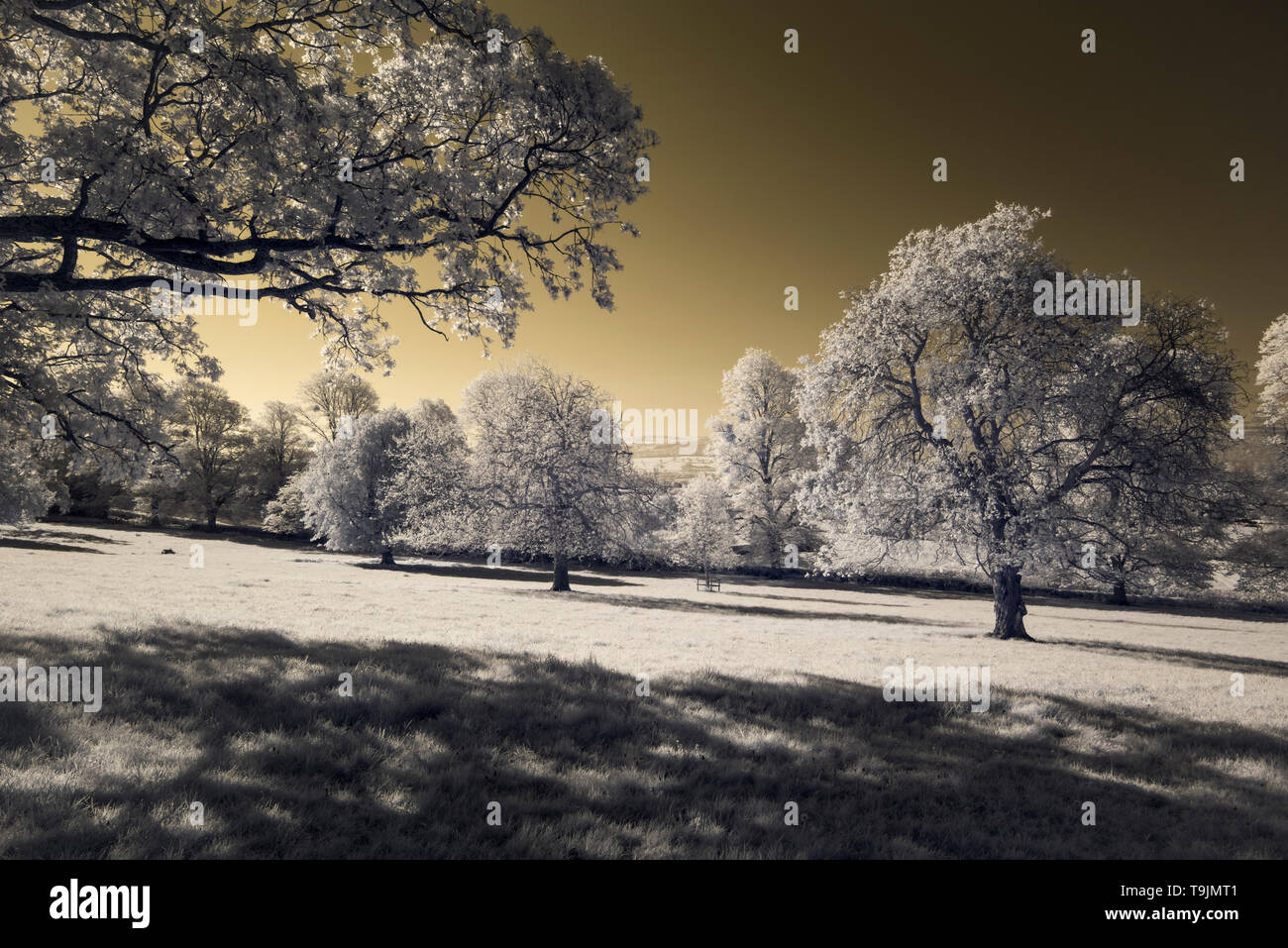 A colour infrared image of the North Somerset countryside at Wrington, England. Stock Photo