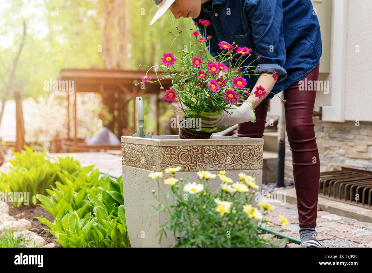 woman planting flowers in pot at home garden Stock Photo