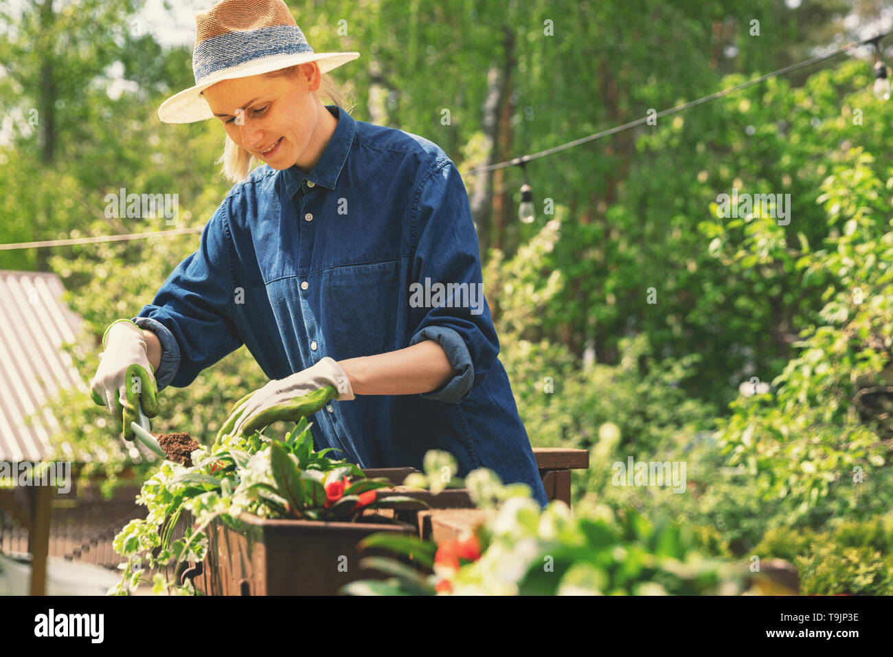 woman planting flowers in boxes on patio railings Stock Photo