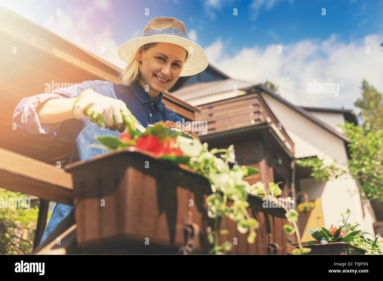 smiling young woman planting flowers in boxes on patio railings Stock Photo