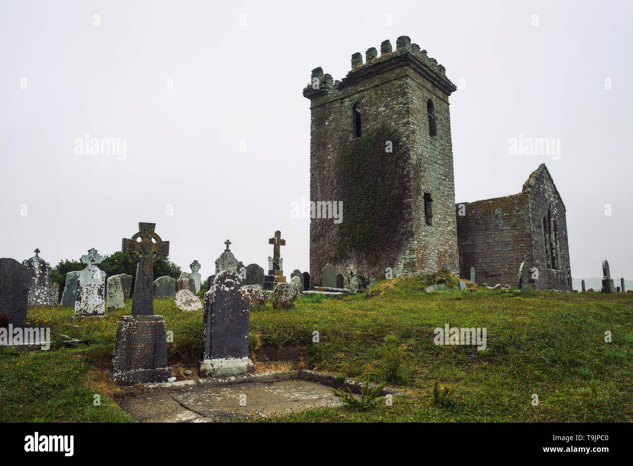Grave markers and ancient stones from Templar Church in Templetown, Ireland Stock Photo
