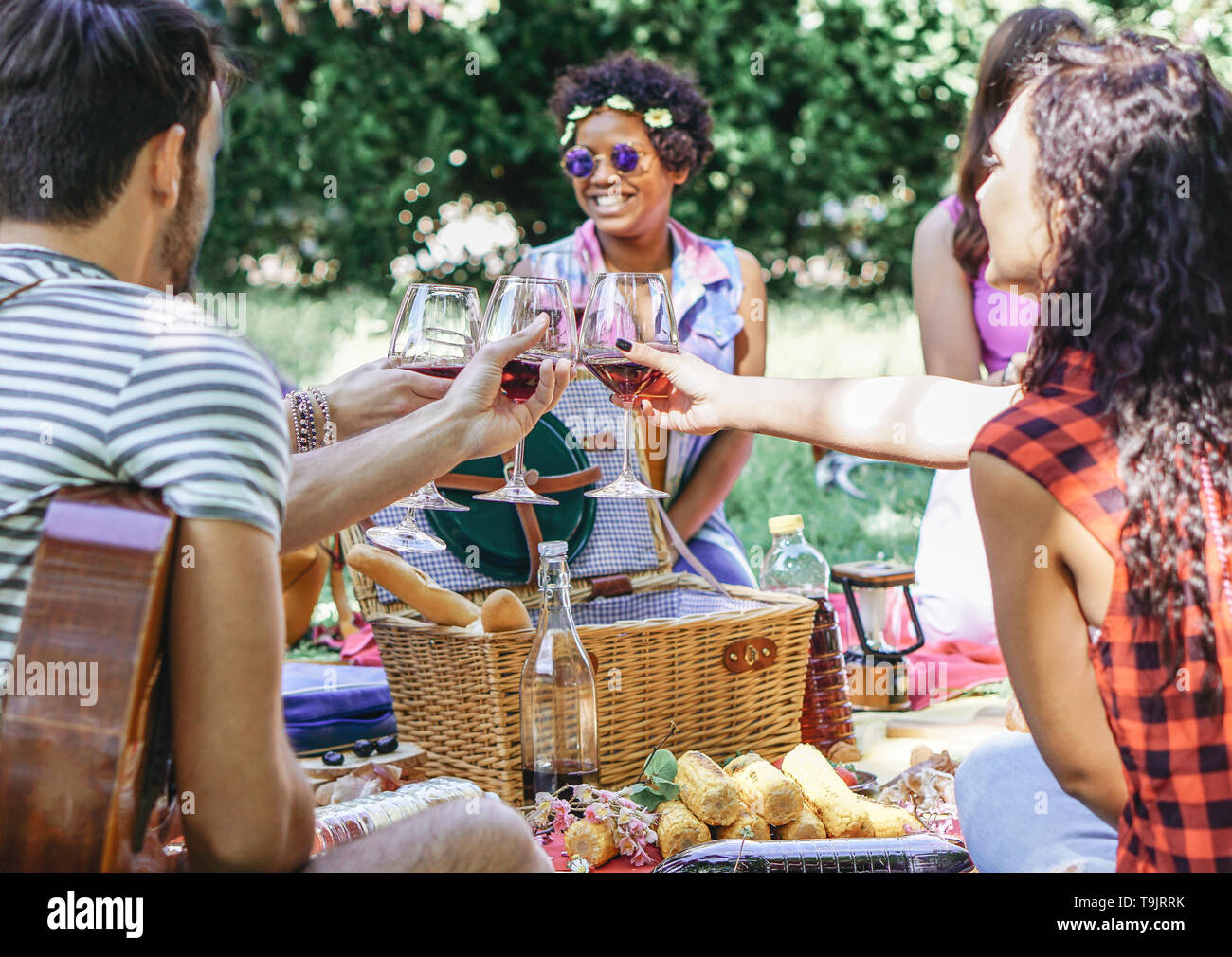 Group of happy friends cheering glasses of red wine at pic nic barbecue in garden - Young people having fun during a weekend day Stock Photo