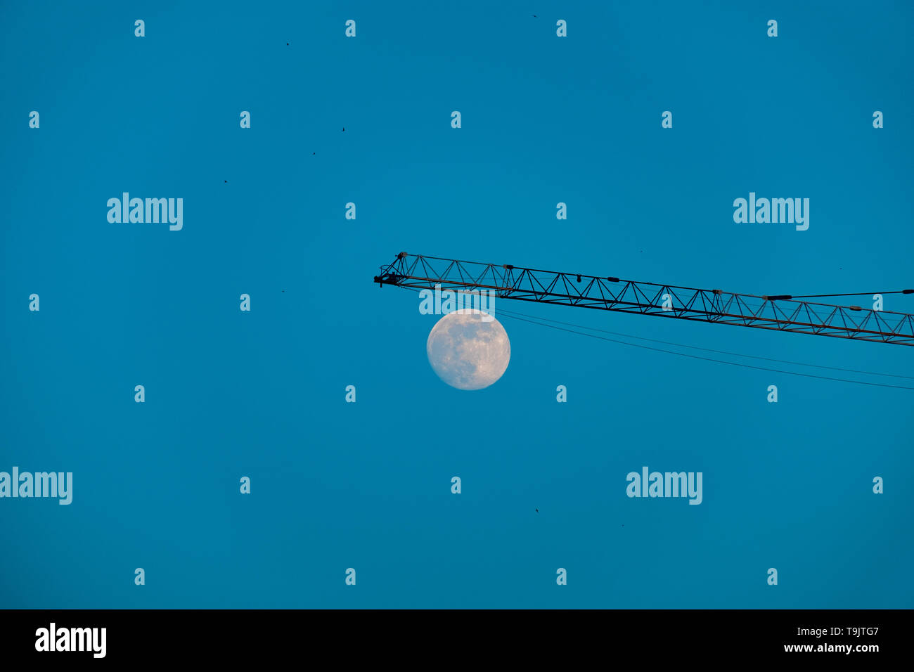 Full moon isolated on a black sky Stock Photo - Alamy
