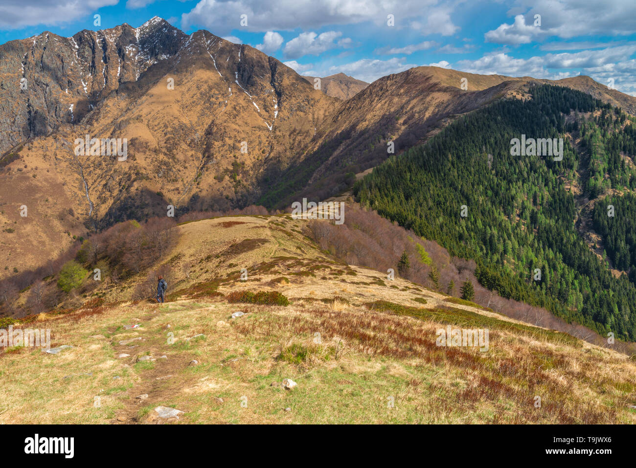 Summit views of nearby mountain range, ridge and forest. Hiking trail in the Northern Italian Alps of Piedmont, near Lake Maggiore. Stock Photo