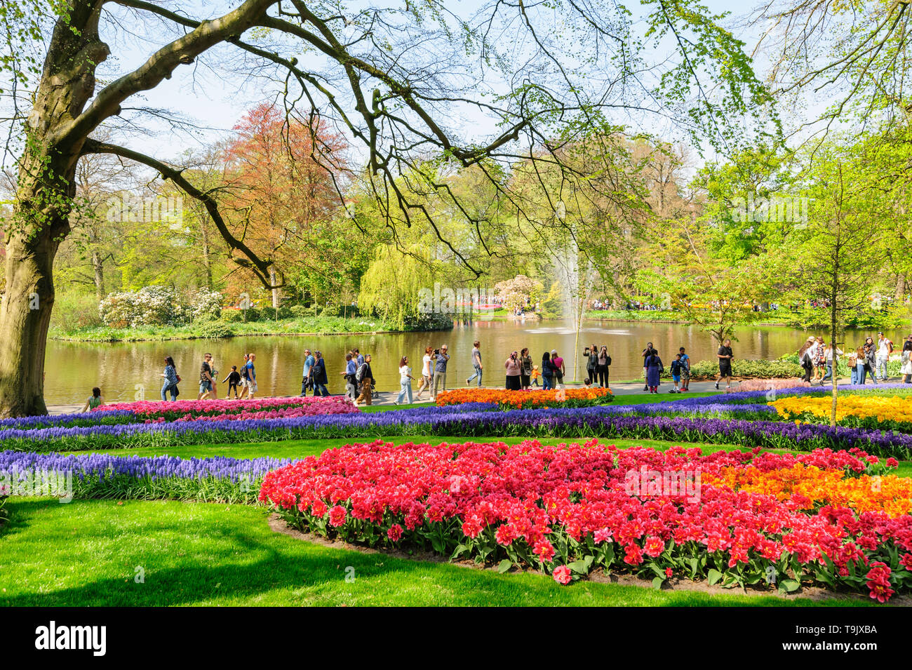 Keukenhof, Lisse, Netherlands 21 April 2019 Luxury flowerbeds in