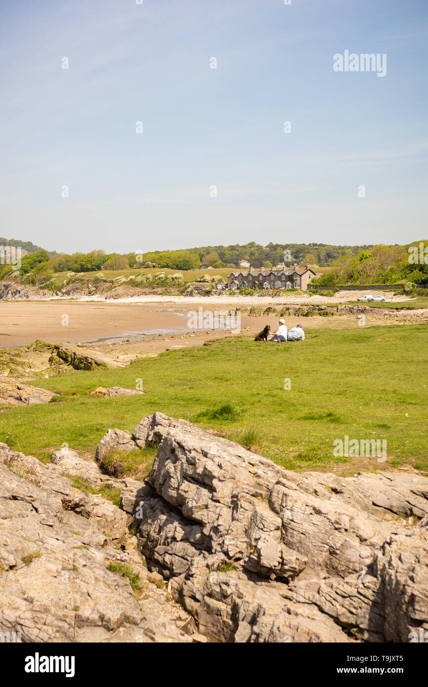 mature couple relaxing at the coast with their pet dog Stock Photo