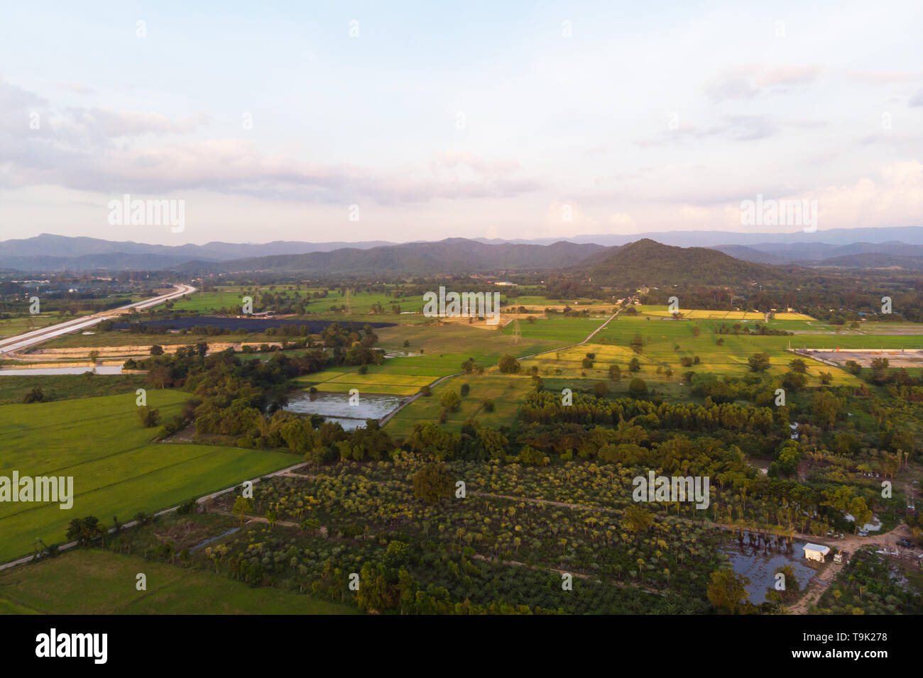 Drone shot Aerial view landscape scenic of rural agriculture rice field ...