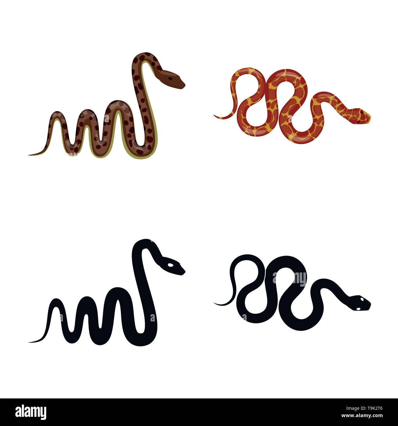 snake,python,wild,jungle,tropics,large,tail,tropical,spiral,crawling ...