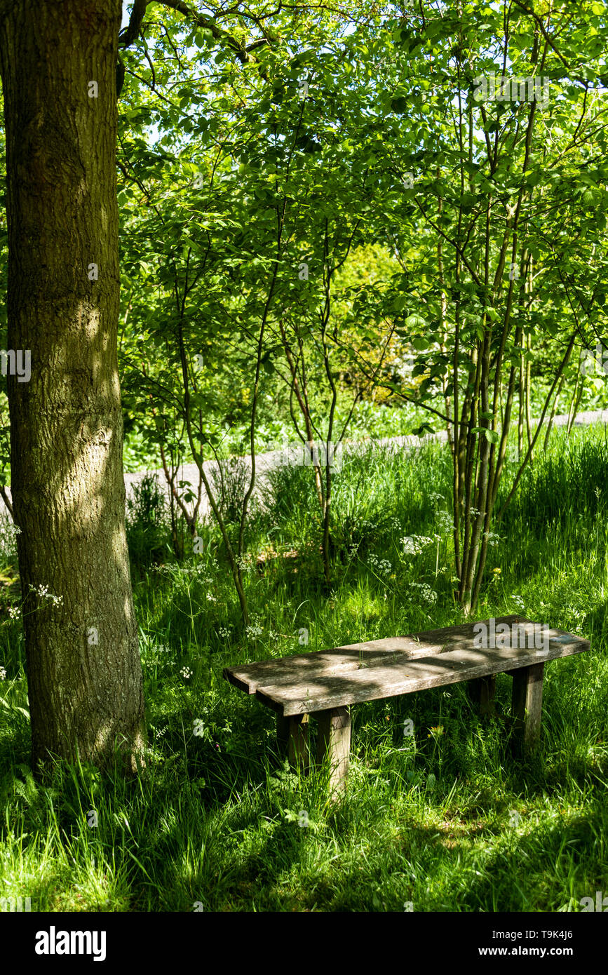 Simple wooden bench, on a sunny day in a woodland glade, with dappled shade. Stock Photo