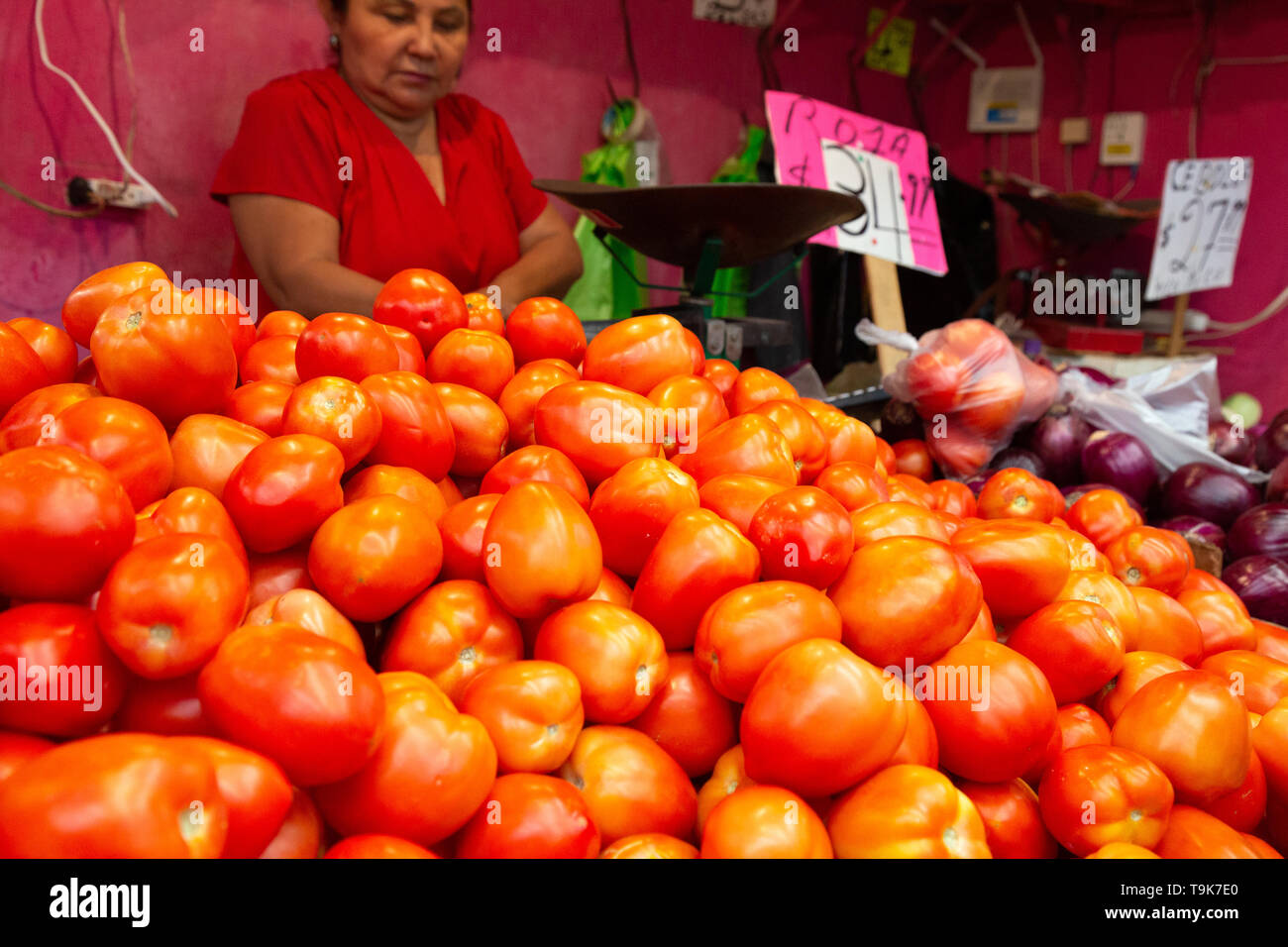 latin american food market - tomatoes for sale at a food stall, Merida Yucatan Mexico Latin America Stock Photo